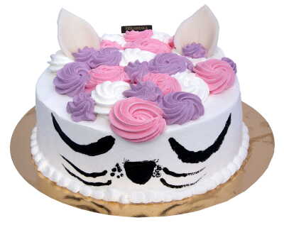 TORT D2